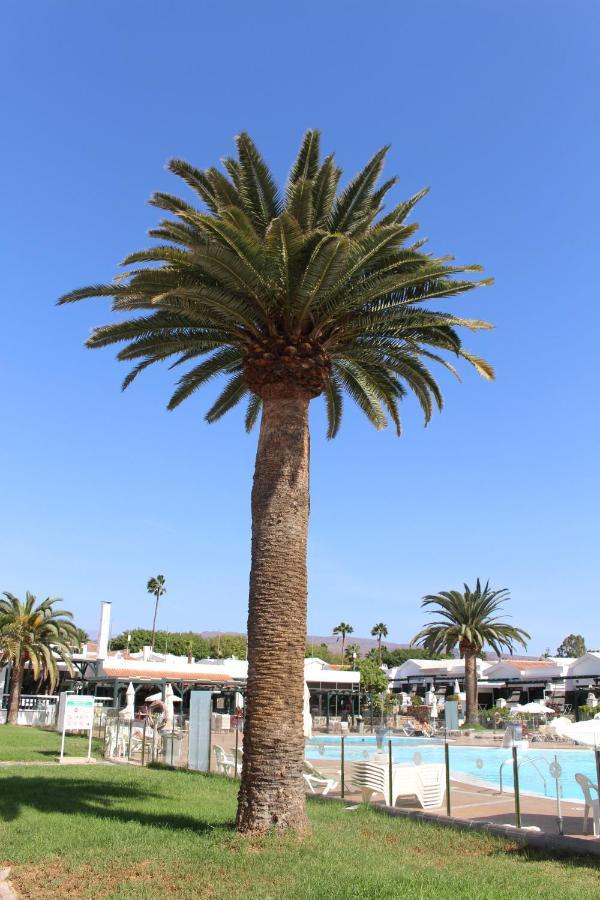Apartamento Marlenghi 70 Maspalomas (Gran Canaria)